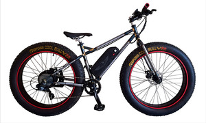 Micargi Electric Mountain Bike 250W With 36V 11AH Removeable Battery 26" Electric Bike Mercy